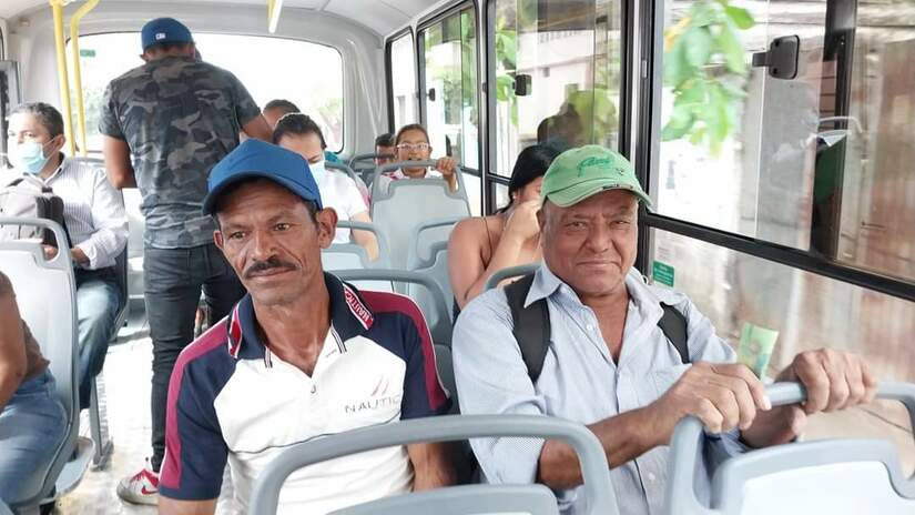 buses